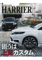 STYLE RV ハリアーNo.6